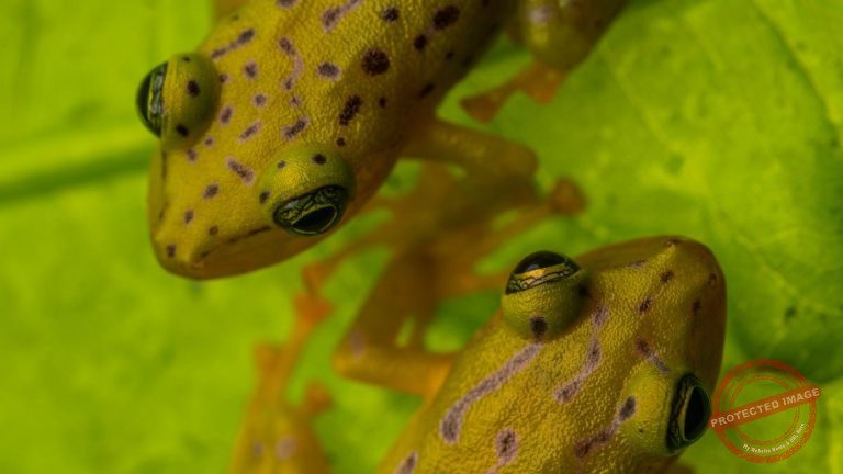 I78B8N_Javier Aznar Gonzalez de Rueda