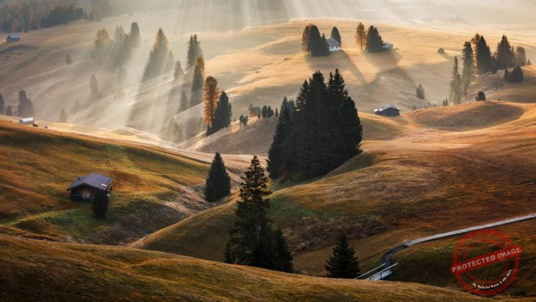 Artwork by Martin Rak steaming at WindowSight