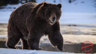 I112A2N_a69e954b-aa1c-43e5-baf7-500cff528852