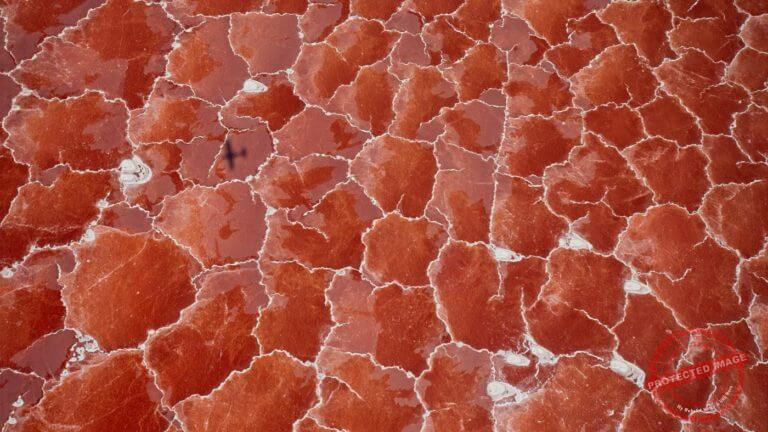 I47N7_00a4a38b-b08d-4274-aad2-6748eb9be31f