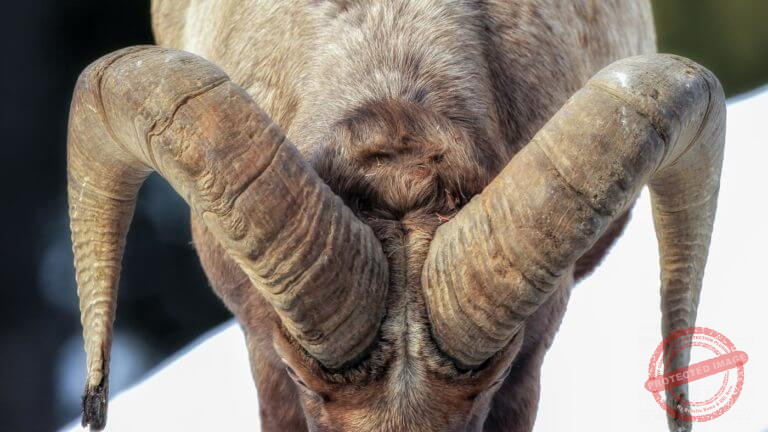 I50C1F_f0b21e30-38ba-48fb-bd17-93e2d20b6411