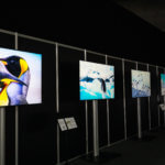Art Exibition at ISE Show 2024 displaying artworks by Andrew Peacock streamed on WindowSight.