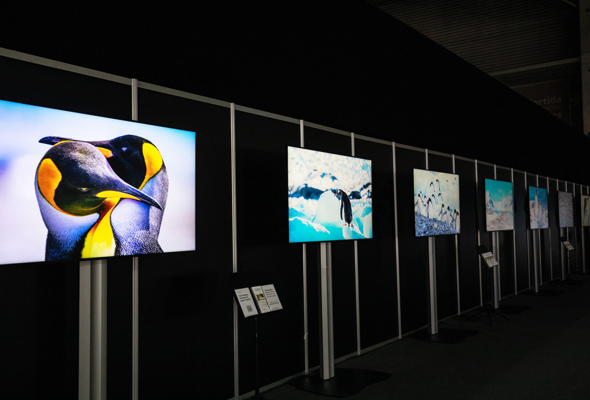 Art Exibition at ISE Show 2024 displaying artworks by Andrew Peacock streamed on WindowSight.
