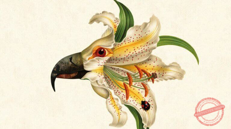 I122K7O0_6a66e48f-4528-4875-b8fa-617449880d38