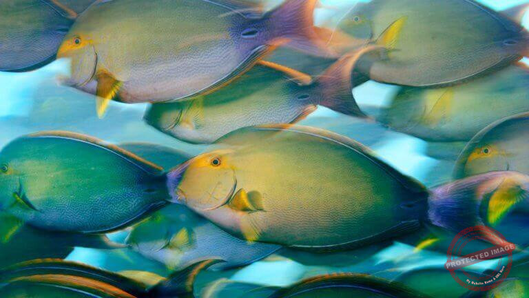 I200K7I6_756b799e-6fe9-49ce-a66f-017e4f2ad34a