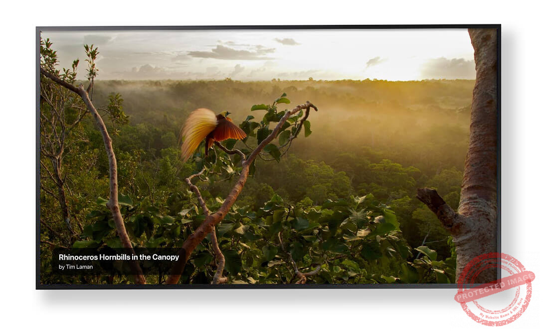 TVapp_Artqworkdisplay