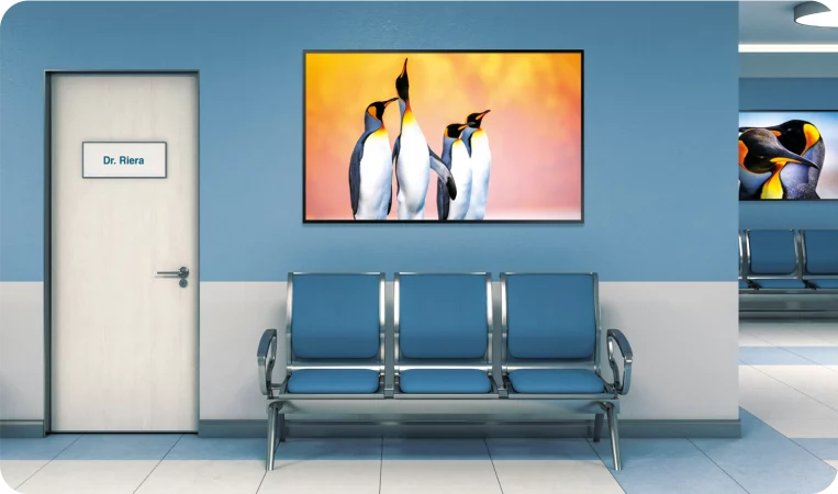Peaceful waiting area streaming digital art on a Smart TV's from WindowSight Platform